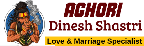 Aghori Dinesh Shastri Ji